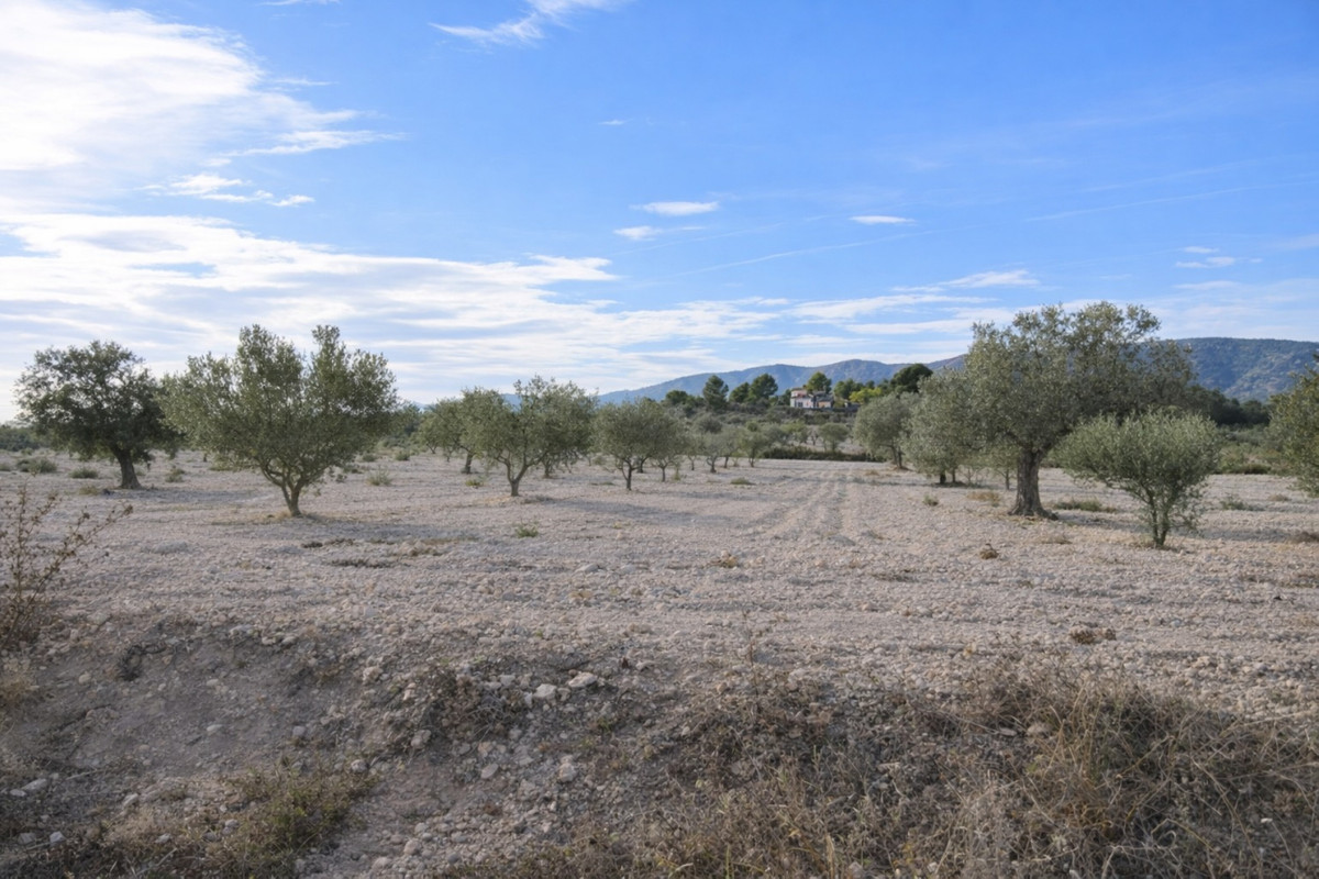 Property main view 4