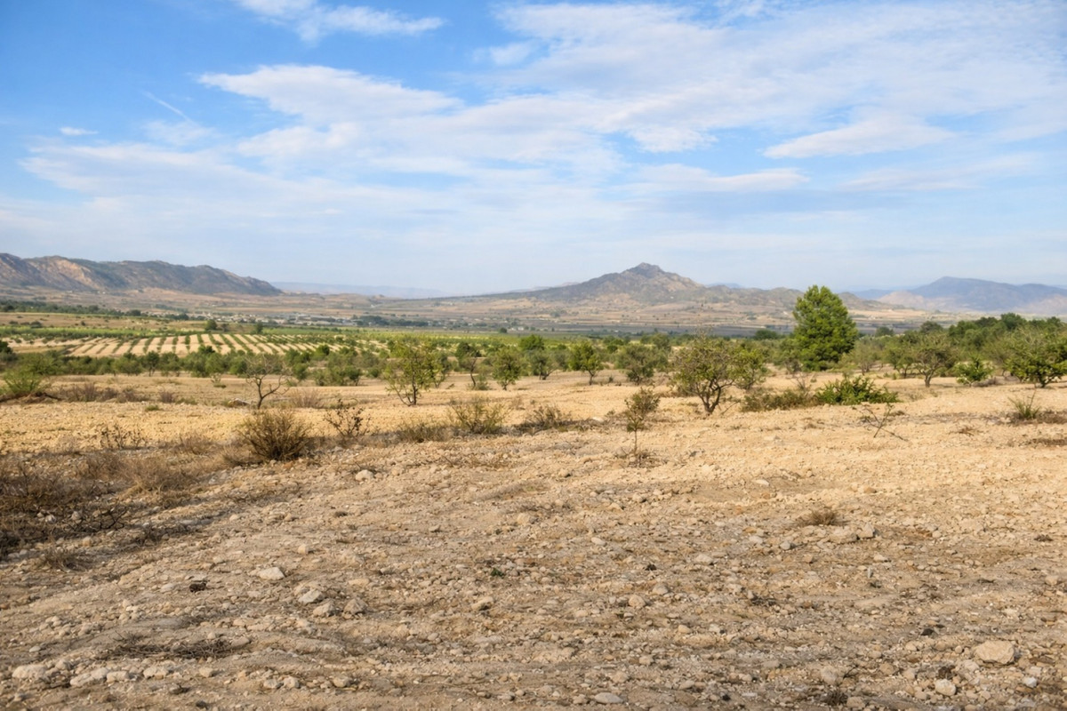 Property main view 5