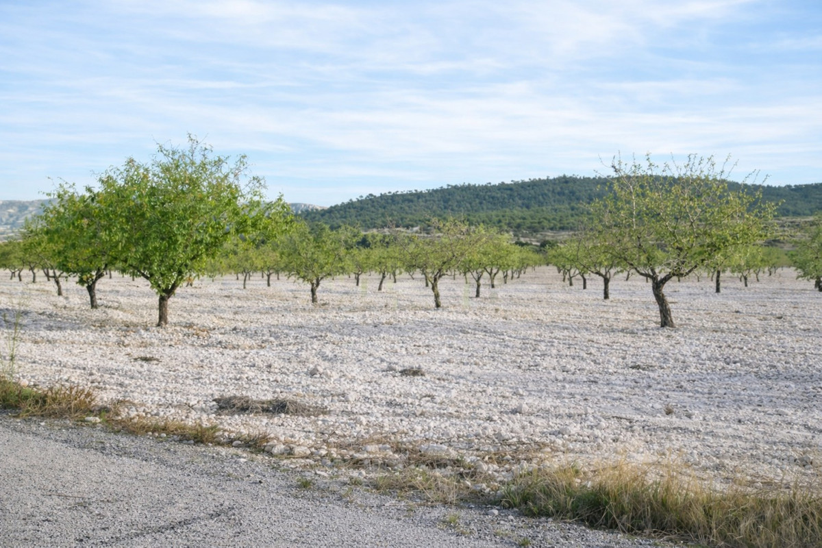 Property main view 7