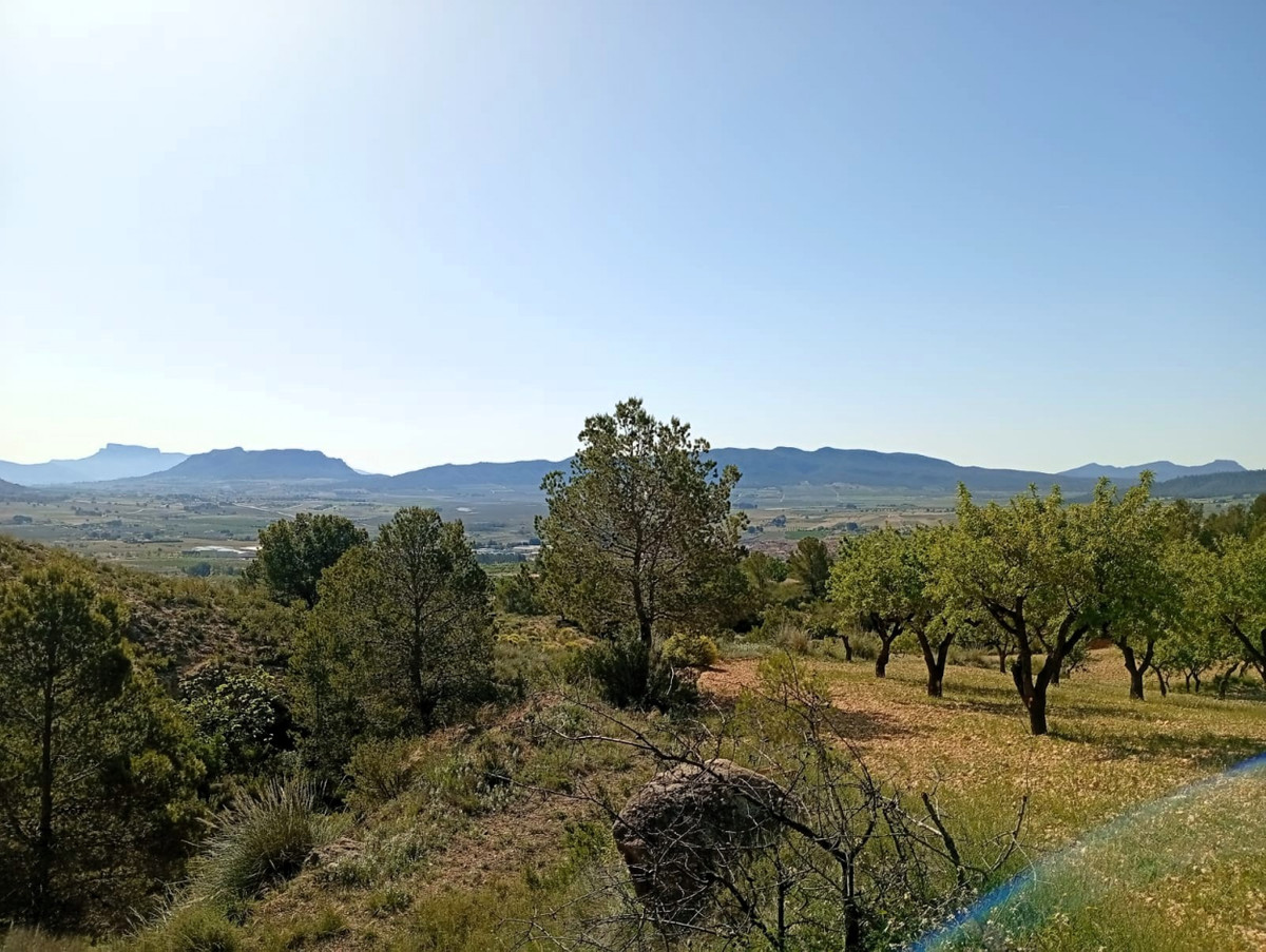 Property main view 10