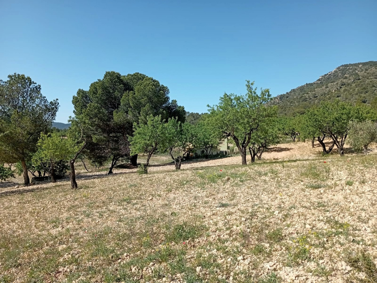 Property main view 12
