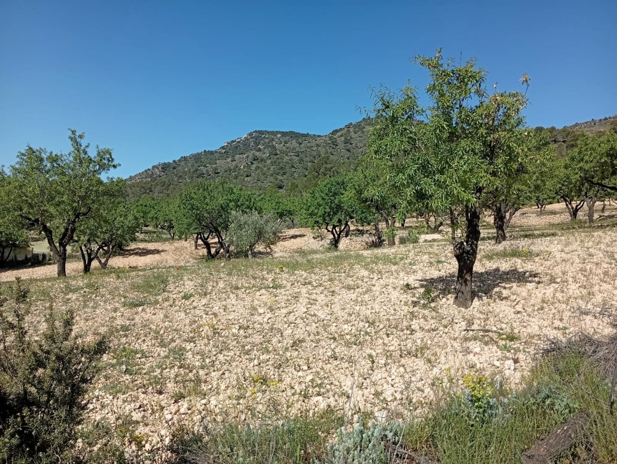 Property main view 14