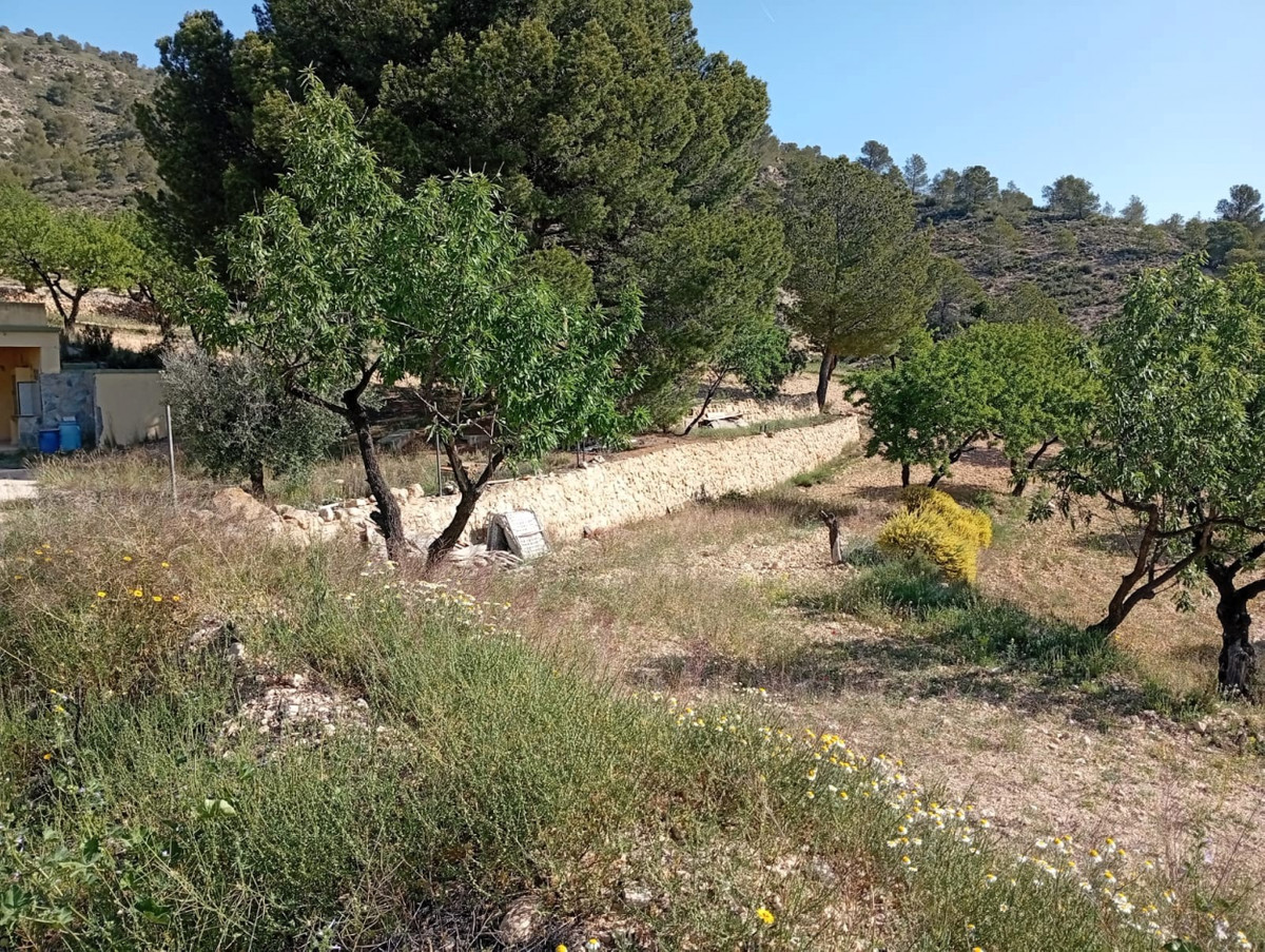 Property main view 18
