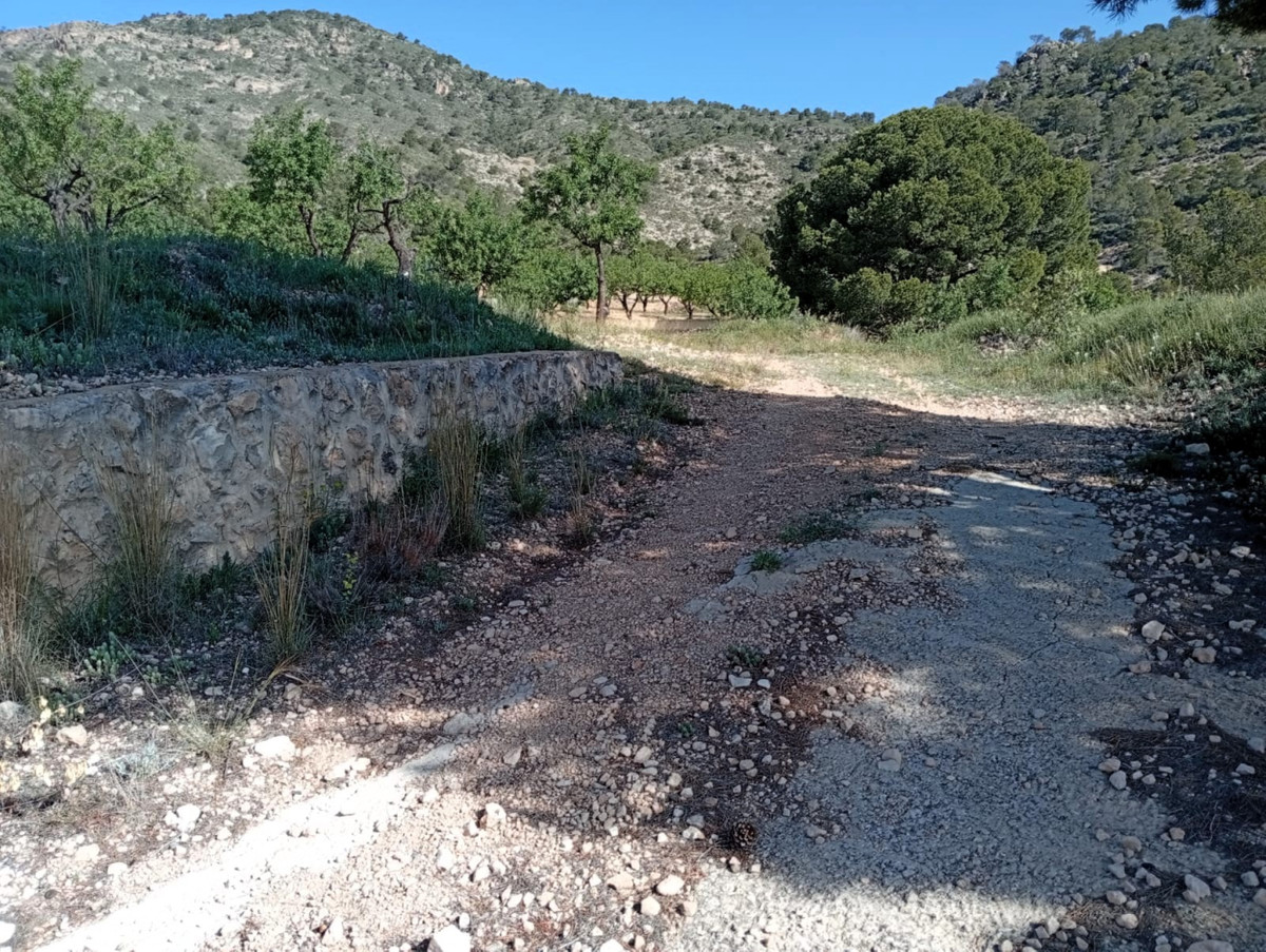 Property main view 19