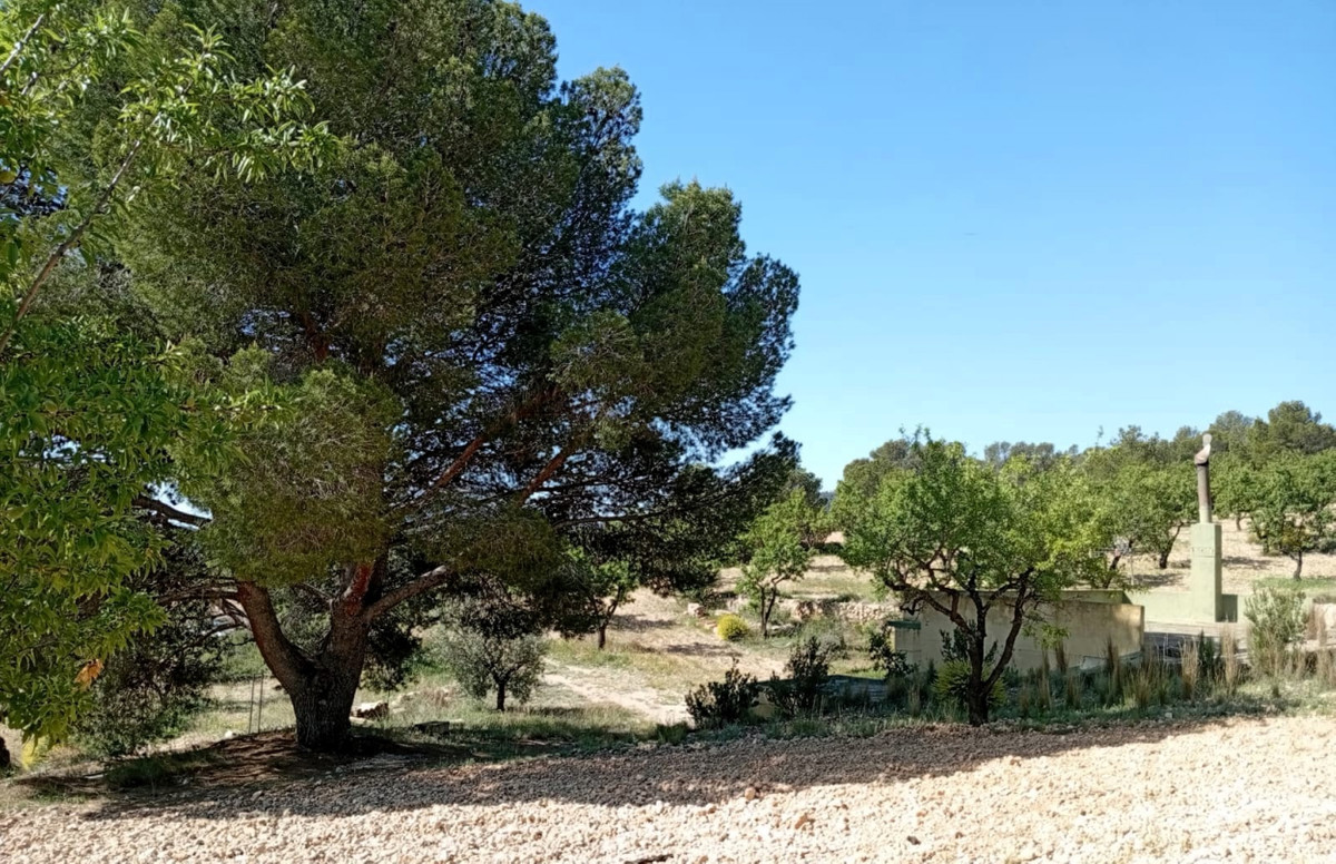 Property main view 2