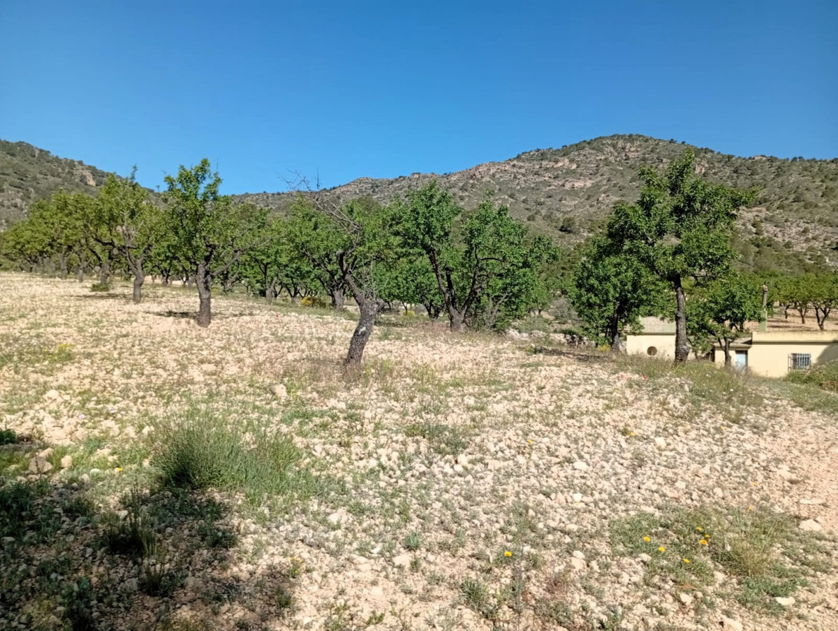 Property main view 20