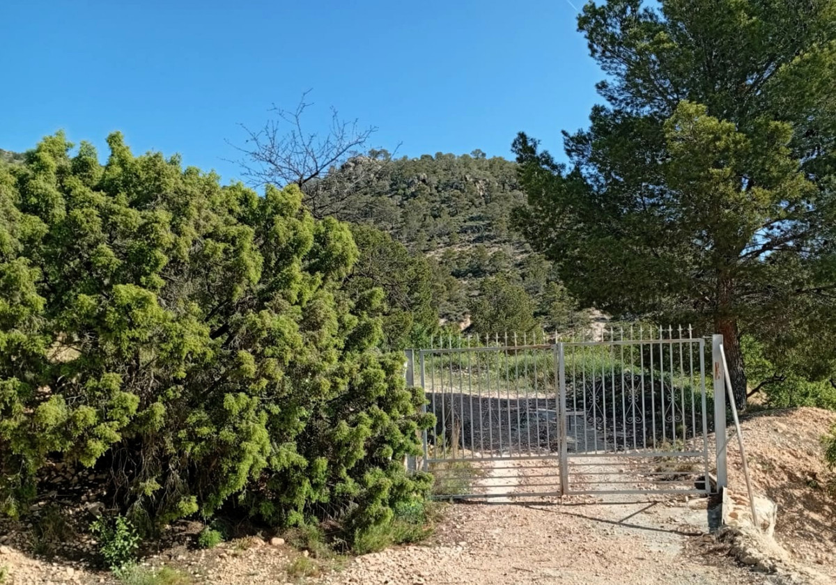 Property main view 21