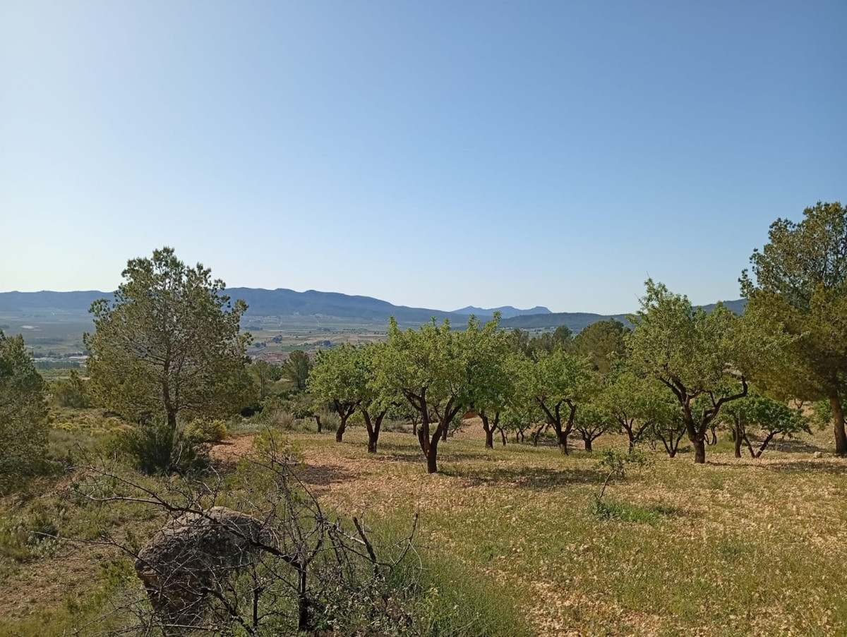 Property main view 8