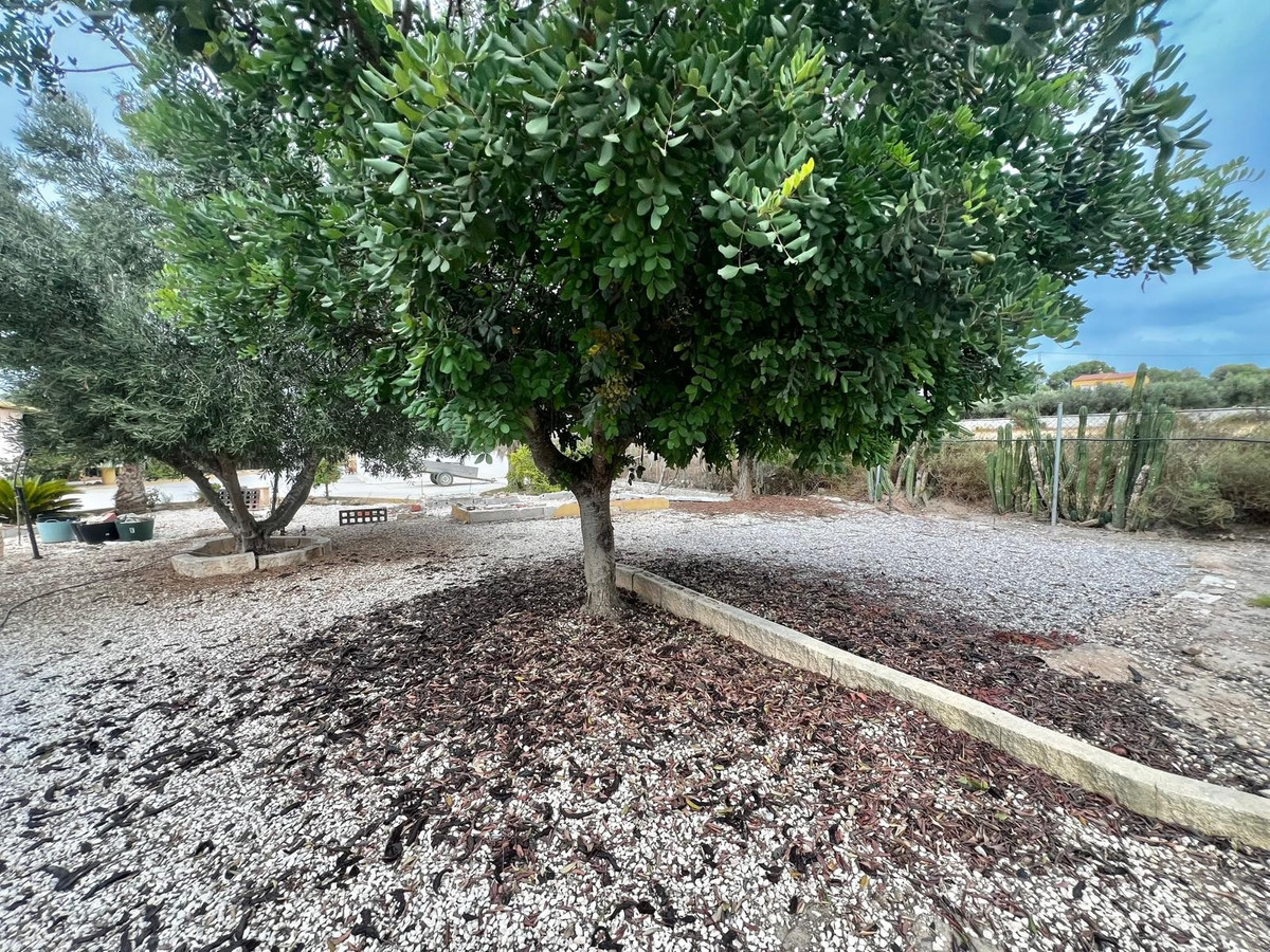 Property main view 19