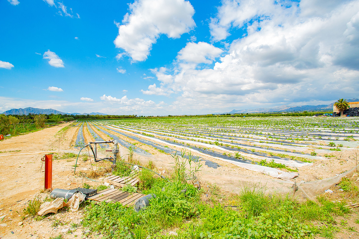 Property main view 10