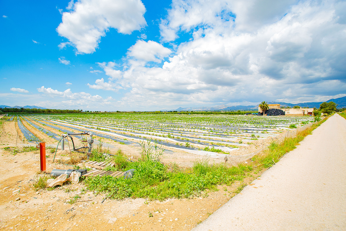 Property main view 11