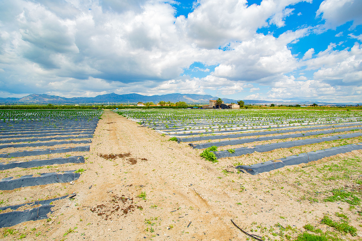 Property main view 13