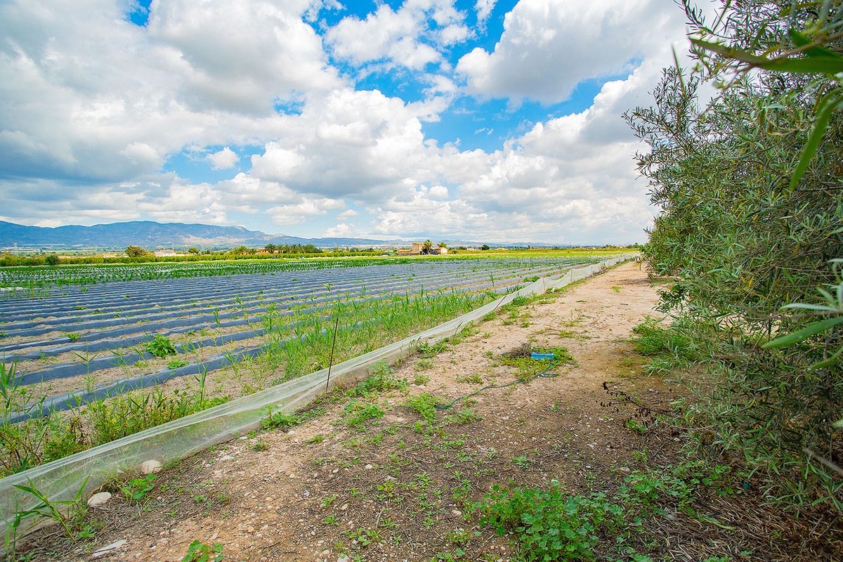 Property main view 14