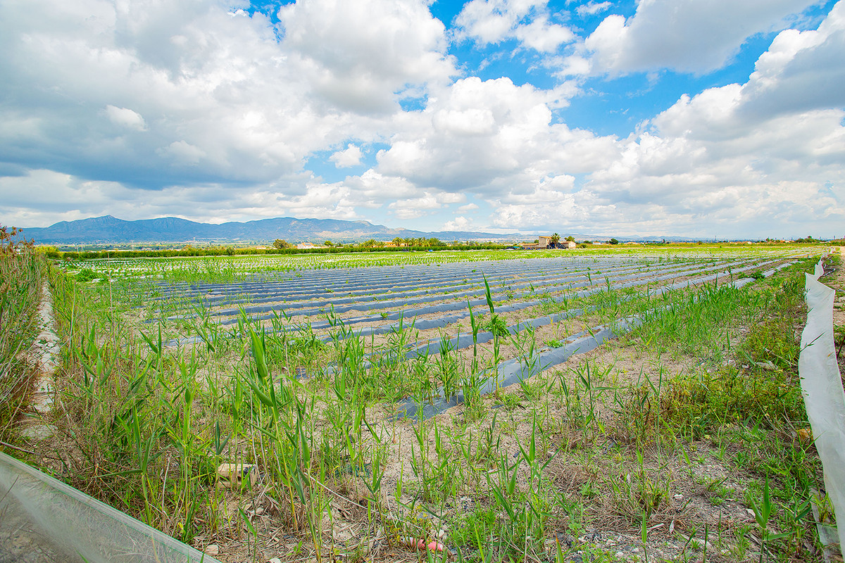 Property main view 16