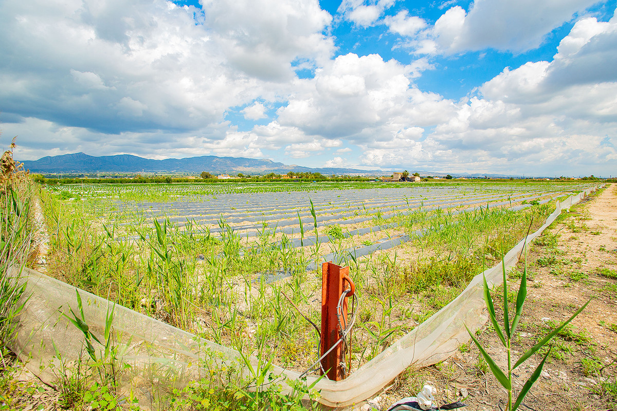 Property main view 17