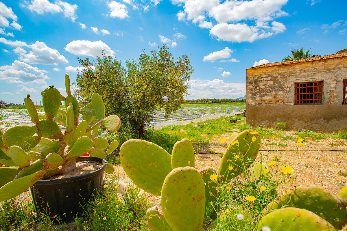 Property main view 26