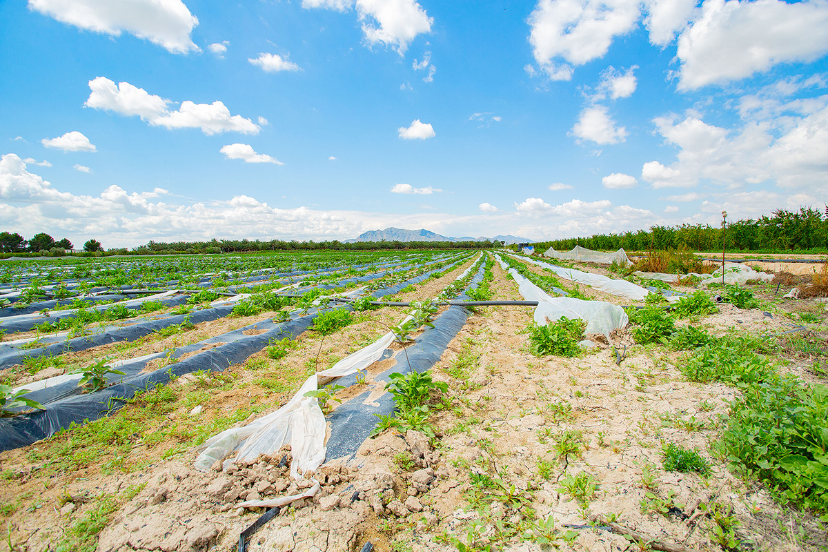 Property main view 6