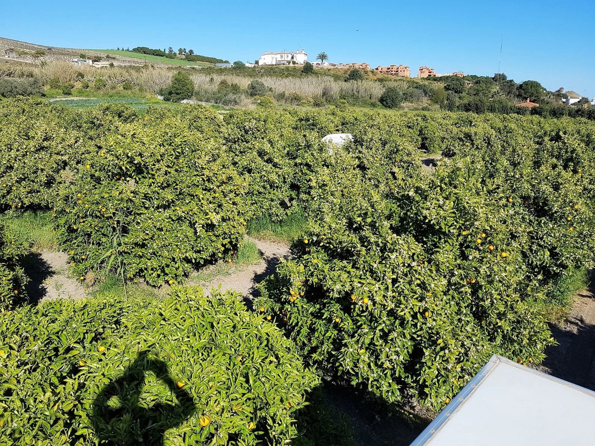 Finca - Cortijo in San Luis de Sabinillas-1