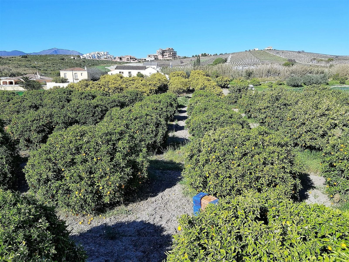 Finca - Cortijo in San Luis de Sabinillas-9