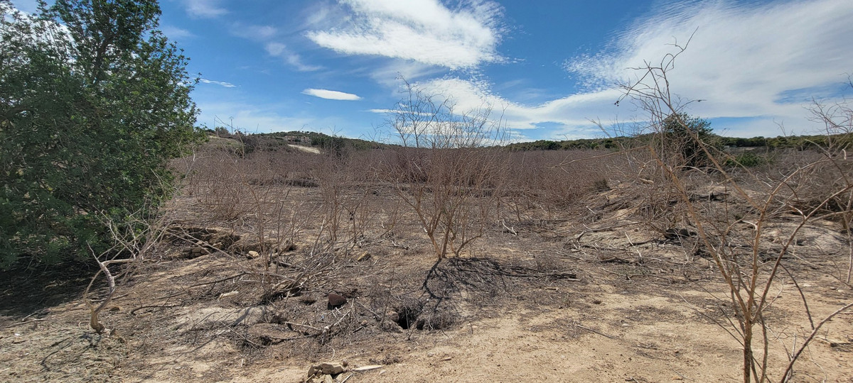 Property main view 25