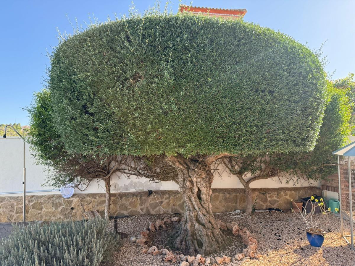 Property main view 5