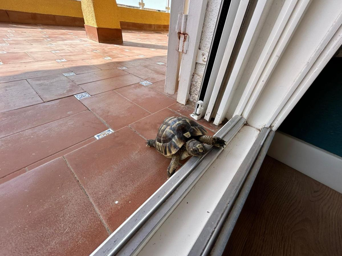 Property main view 23