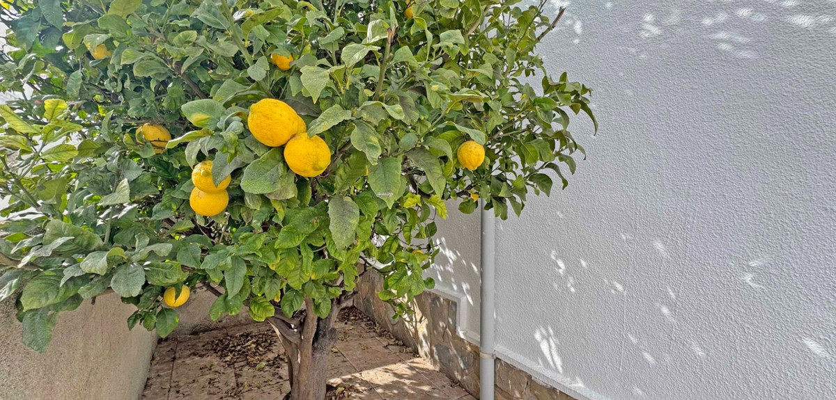 Huis te koop in San Miguel de Salinas | 2 slaapkamers H5307199