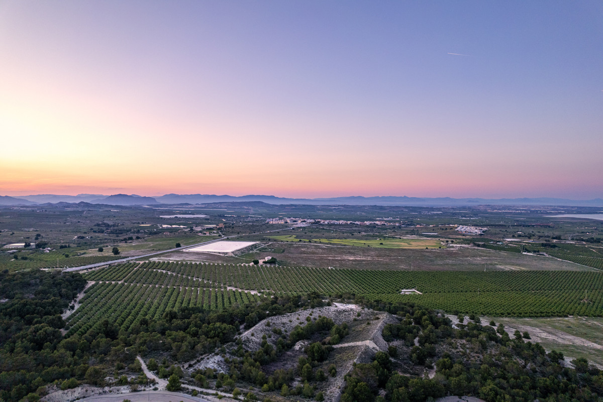 Property main view 50