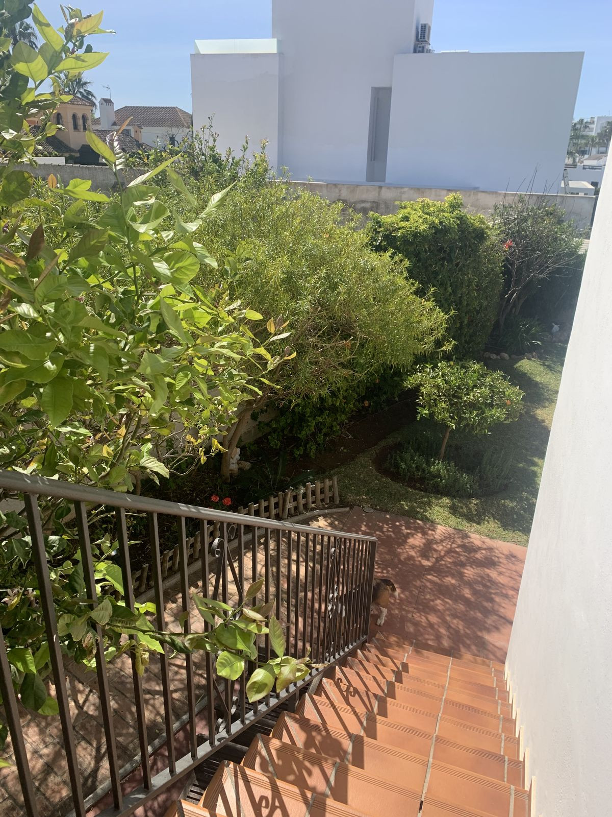 Huis te koop in San Pedro de Alcántara | 5 slaapkamers H4294702