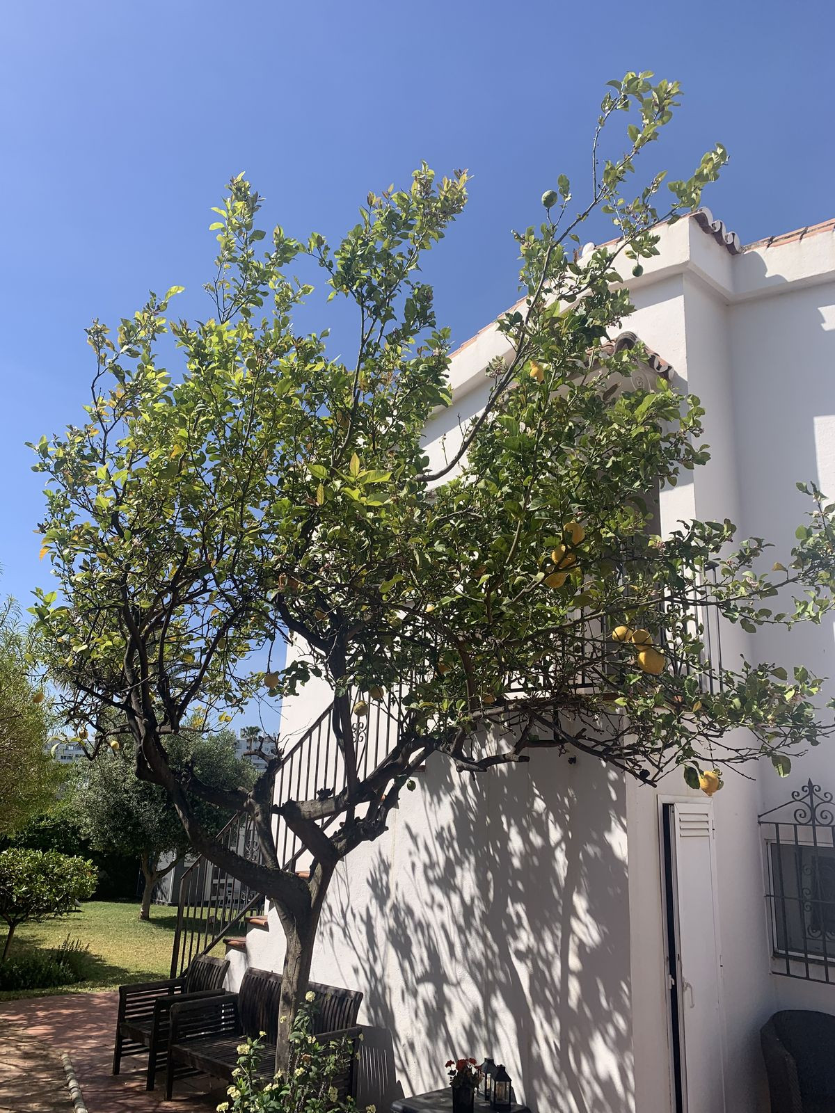 Huis te koop in San Pedro de Alcántara | 5 slaapkamers H4294702