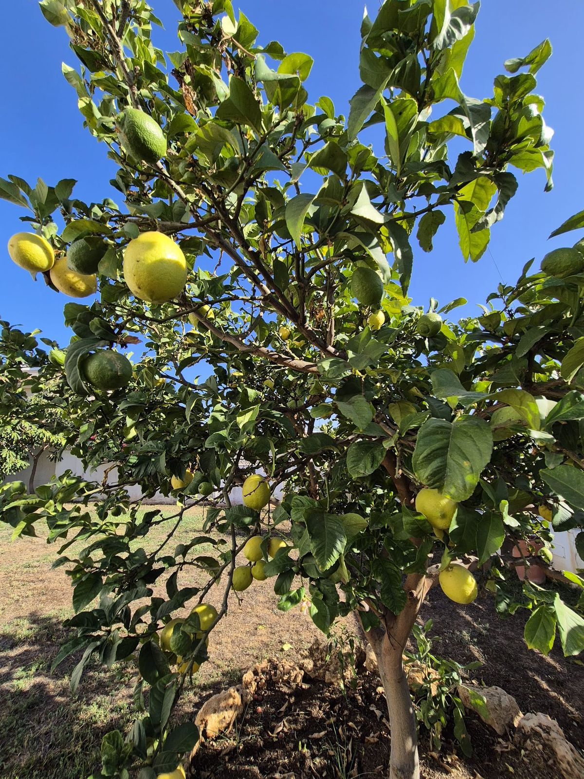 Property main view 21