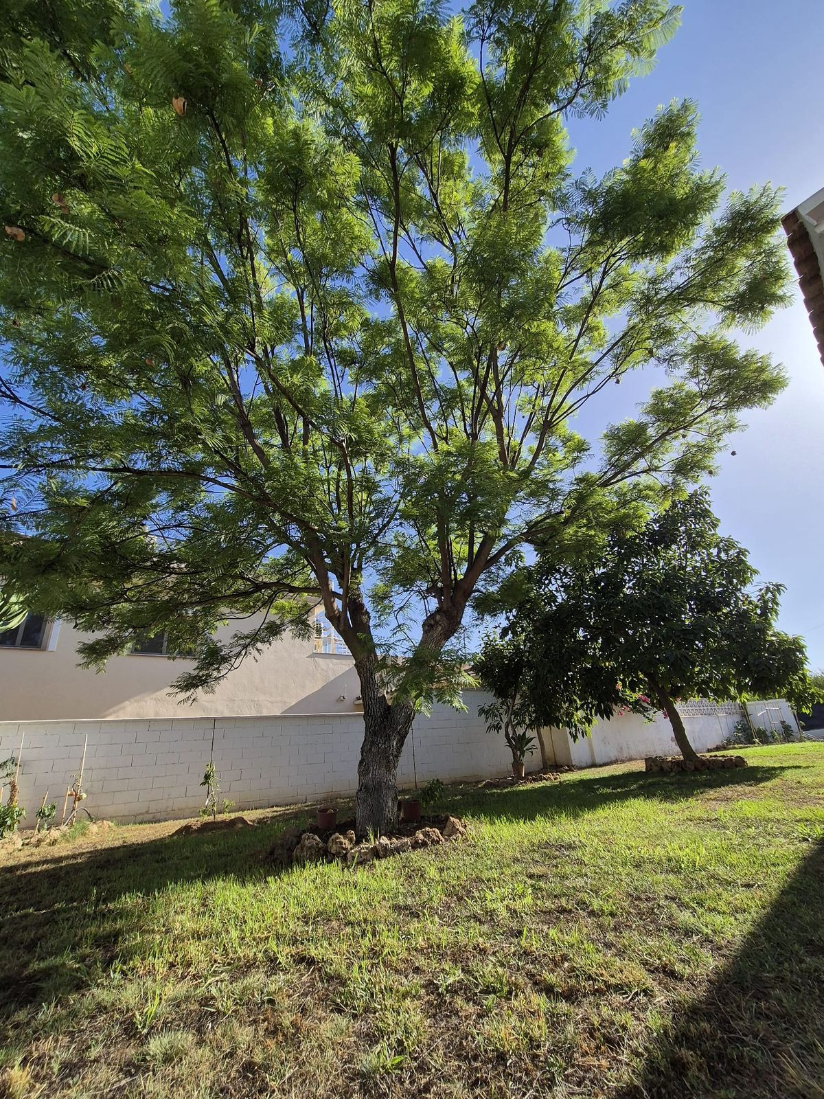 Property main view 23