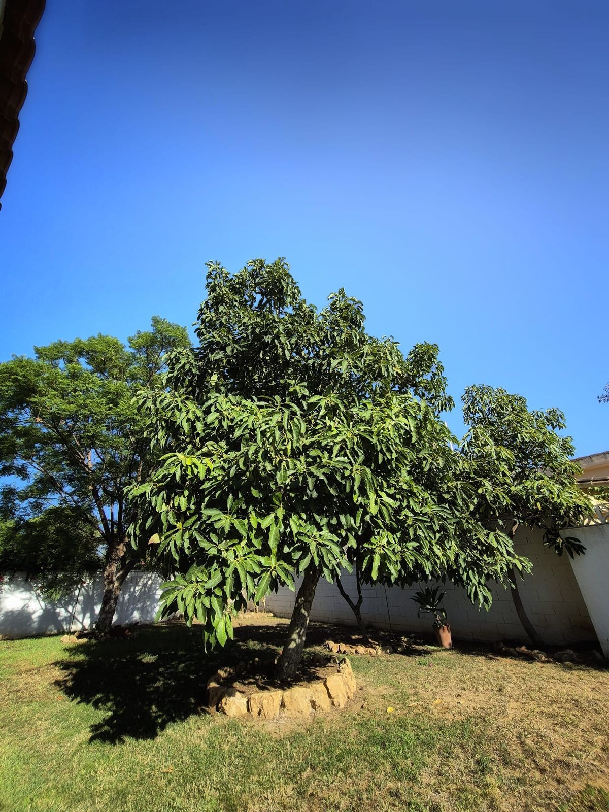 Property main view 45