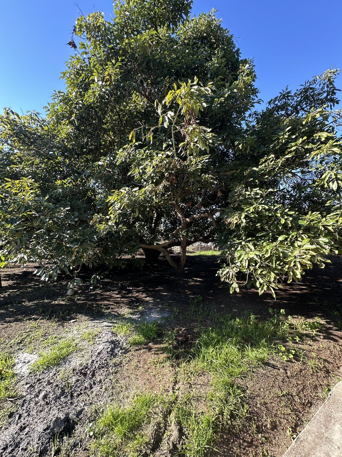 Property main view 41