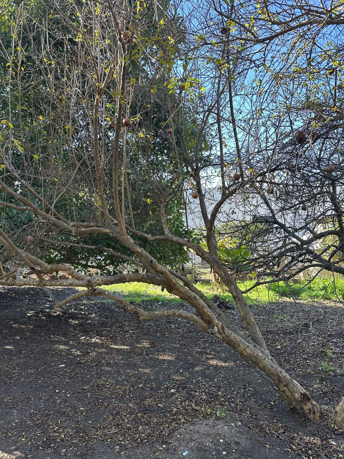 Property main view 42