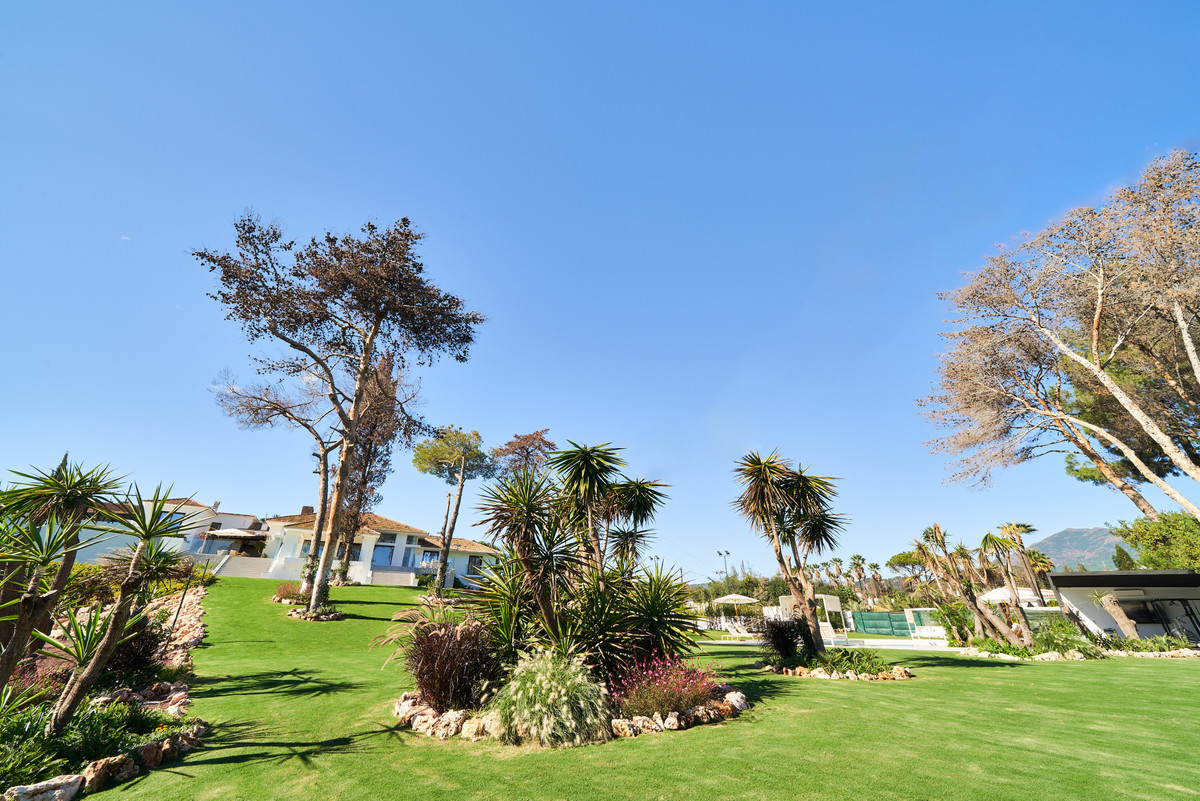 Property main view 59