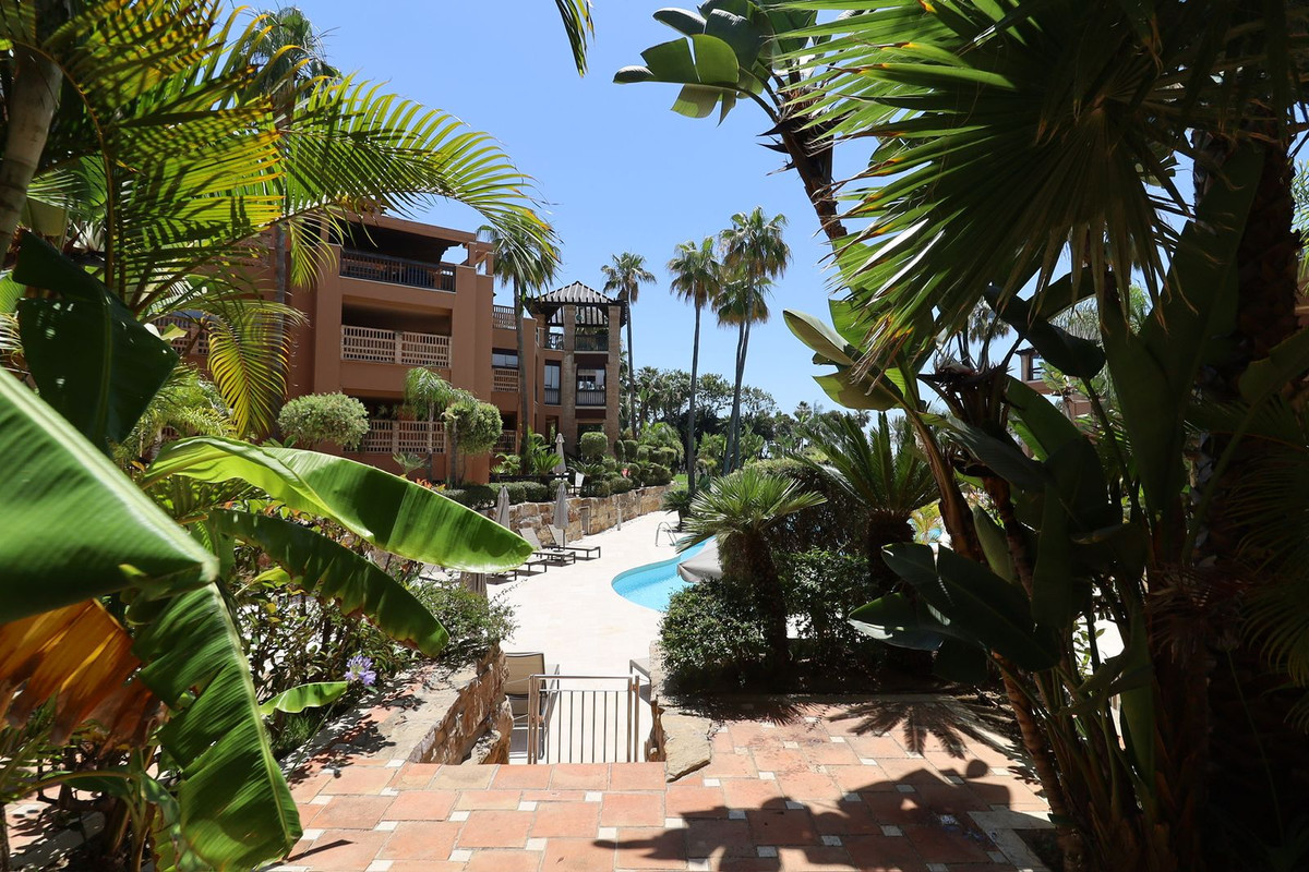 Property main view 39