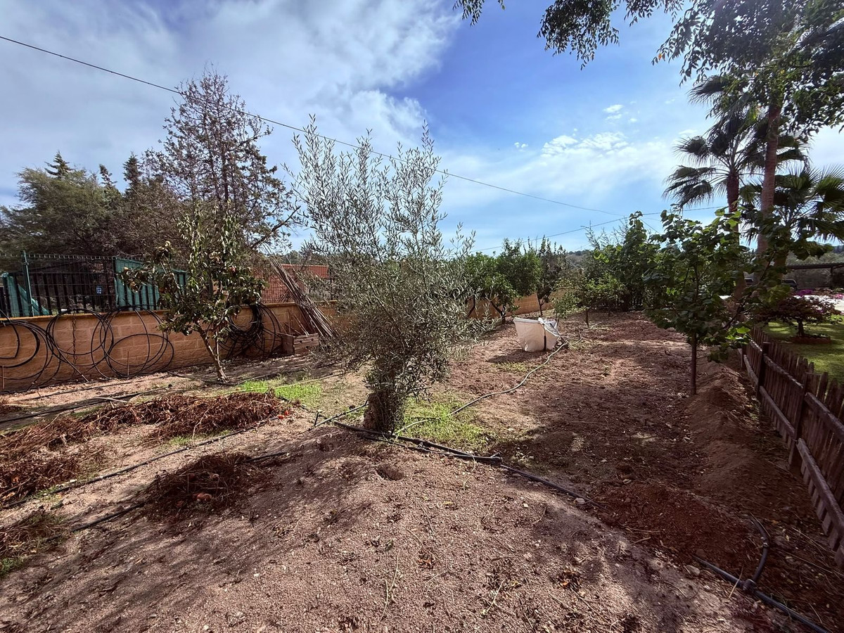 Property main view 50