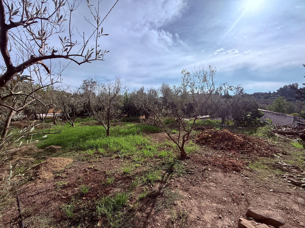 Property main view 53