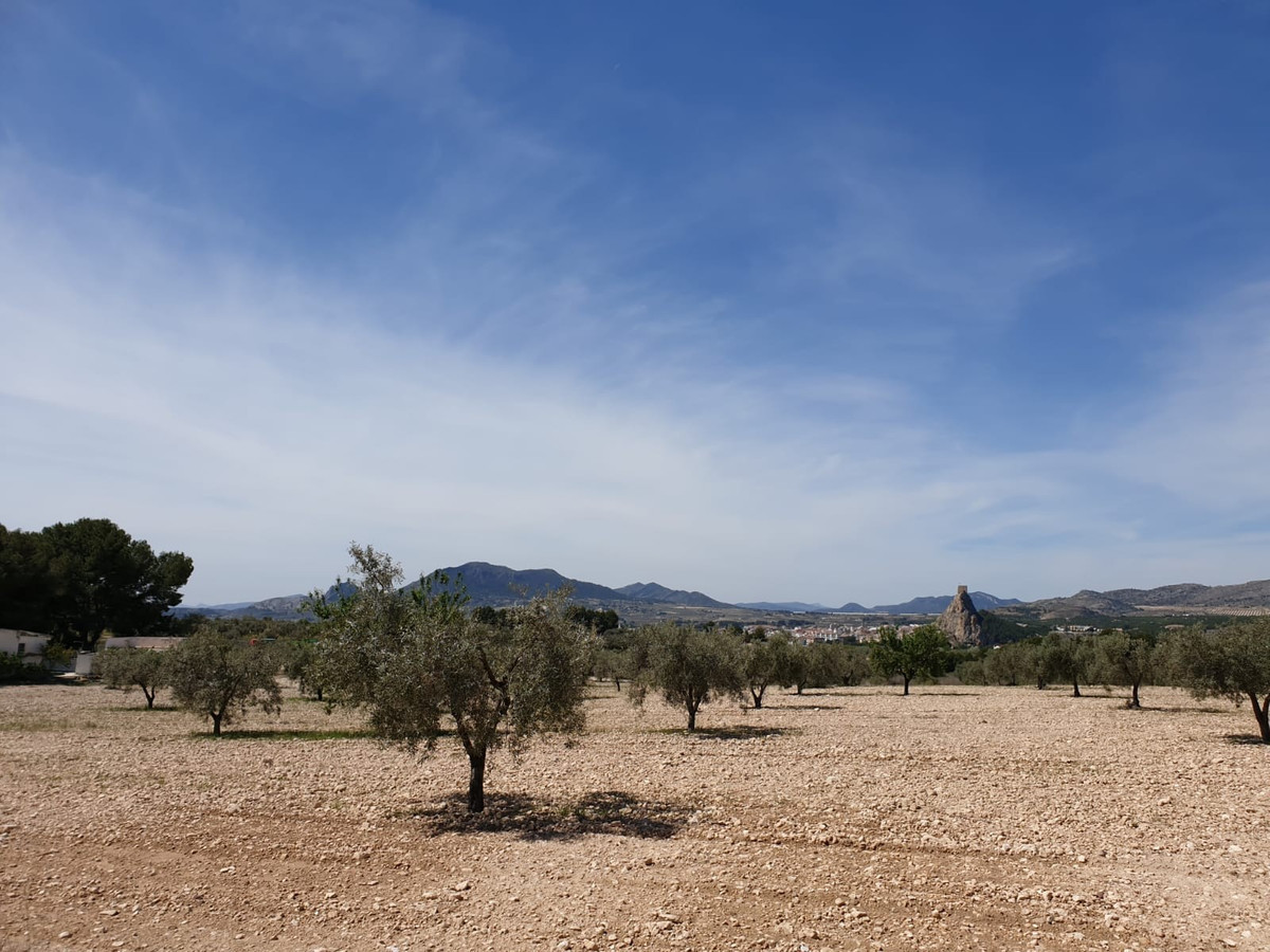 Property main view 1