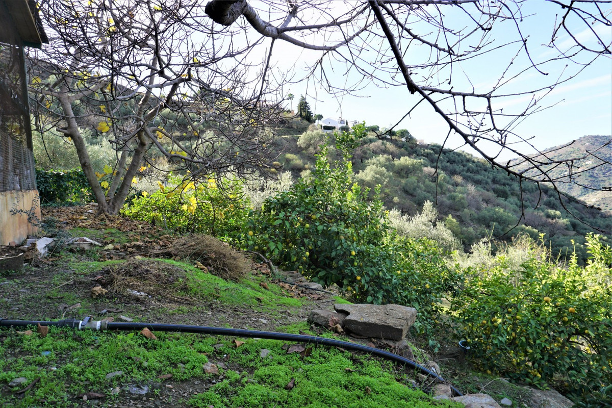 Property main view 43