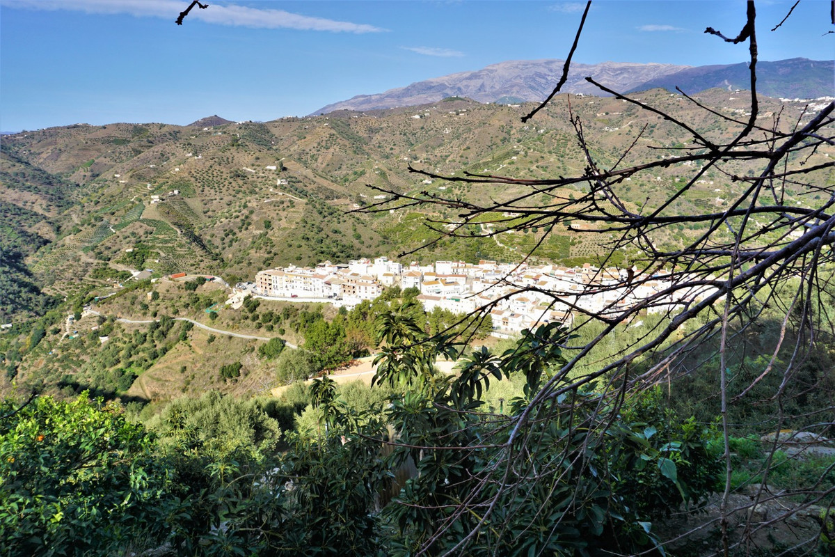 Property main view 45