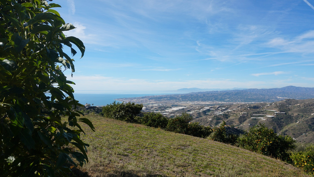 Property main view 29