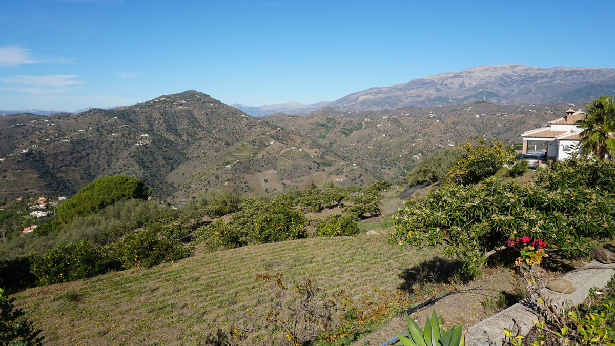 Property main view 31