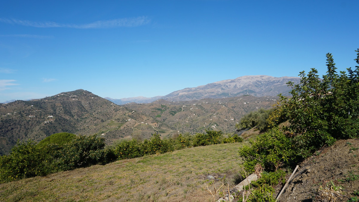 Property main view 32