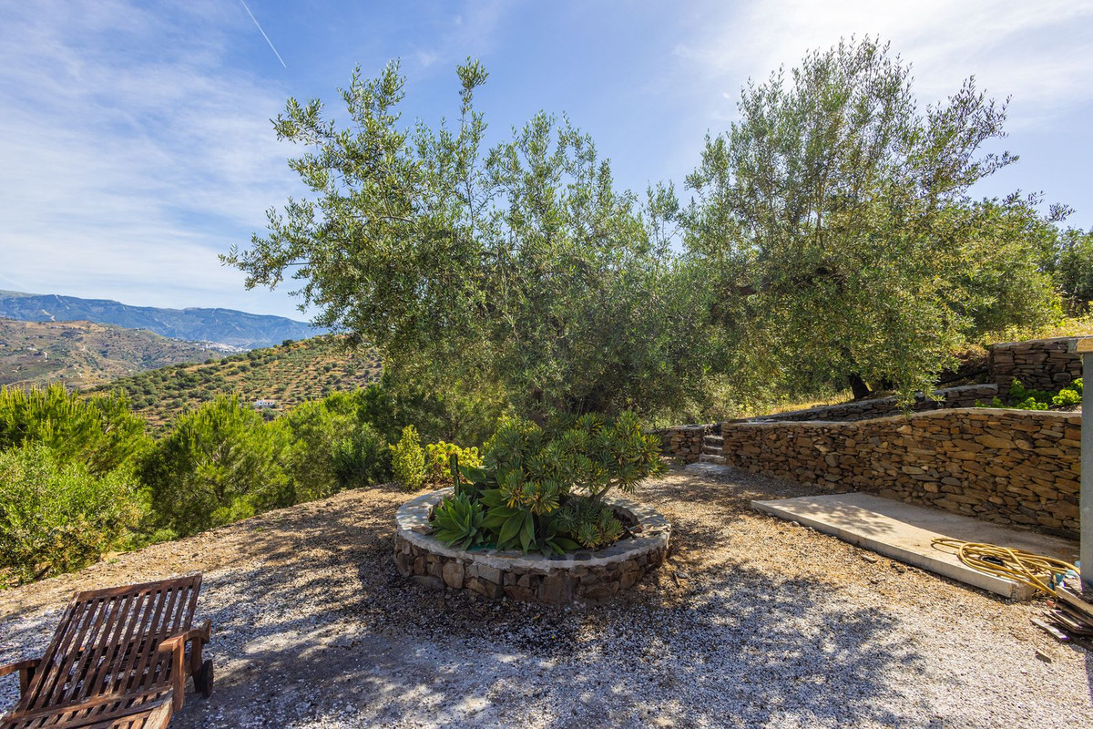Property main view 81