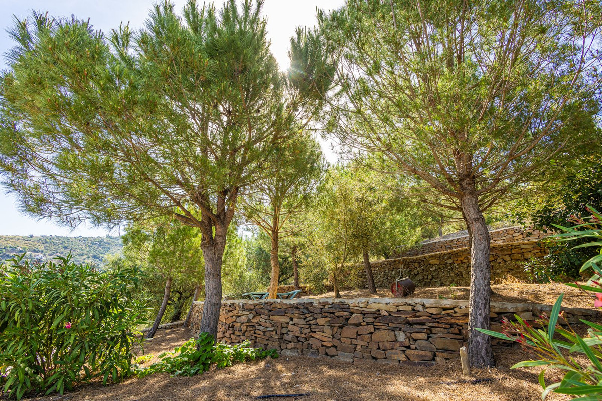 Property main view 88