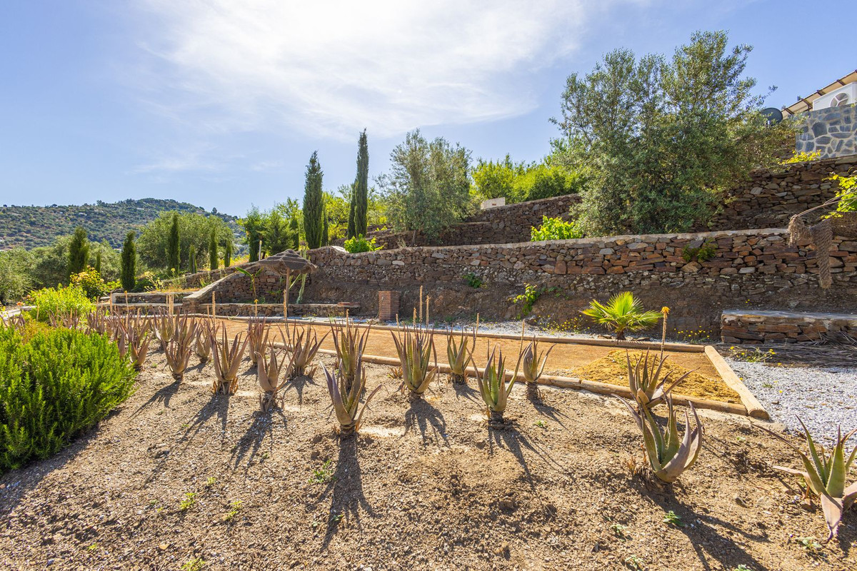 Property main view 89