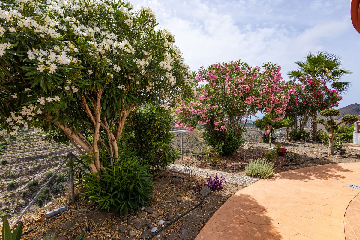 Huis te koop in Sayalonga | 6 slaapkamers H5419420