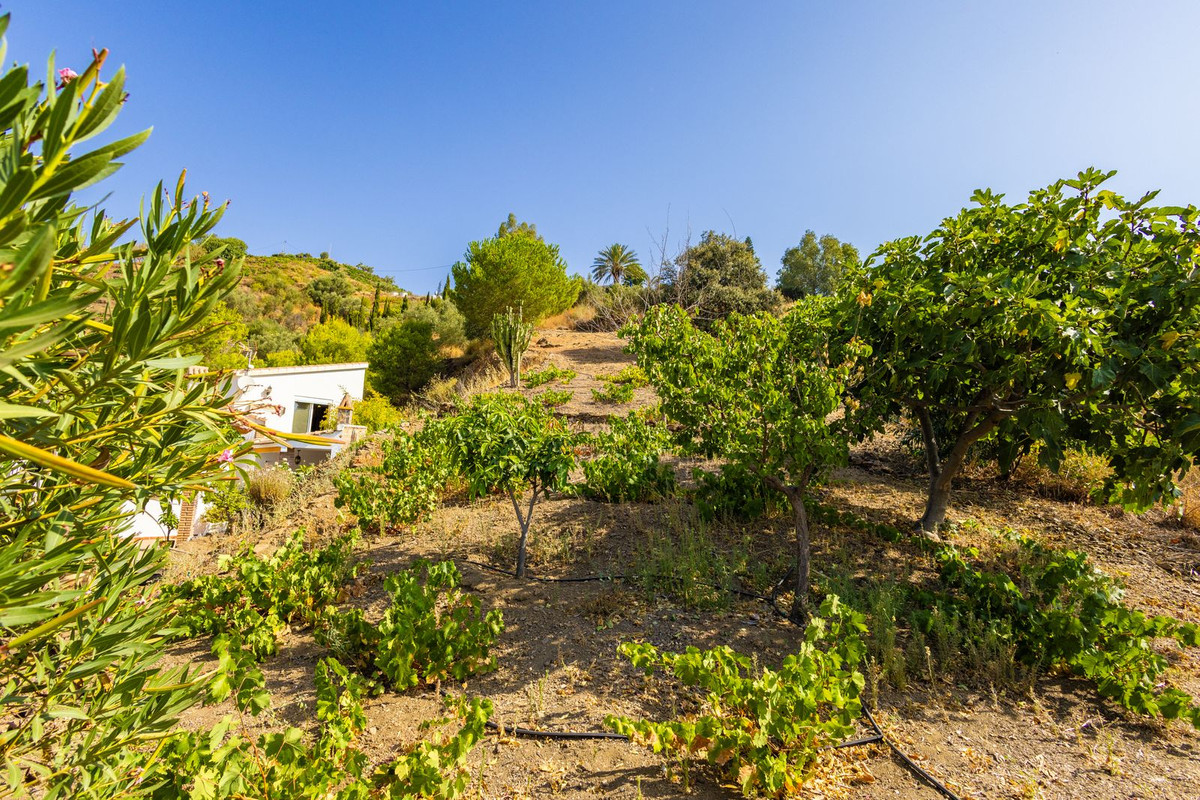 Huis te koop in Sayalonga | 3 slaapkamers H5449228